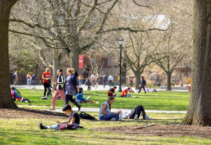 Ag Quad in the spring